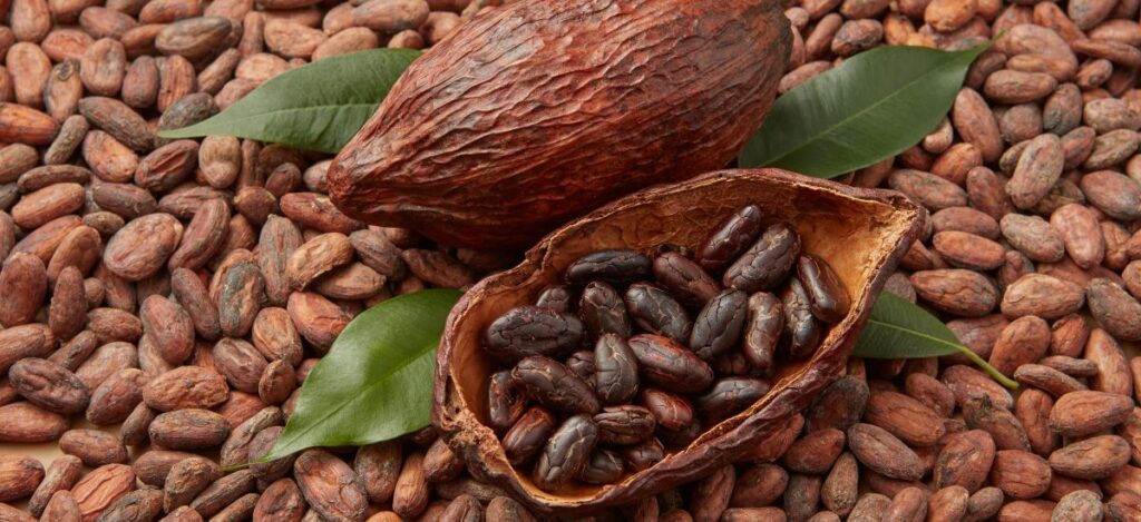 origen del cacao